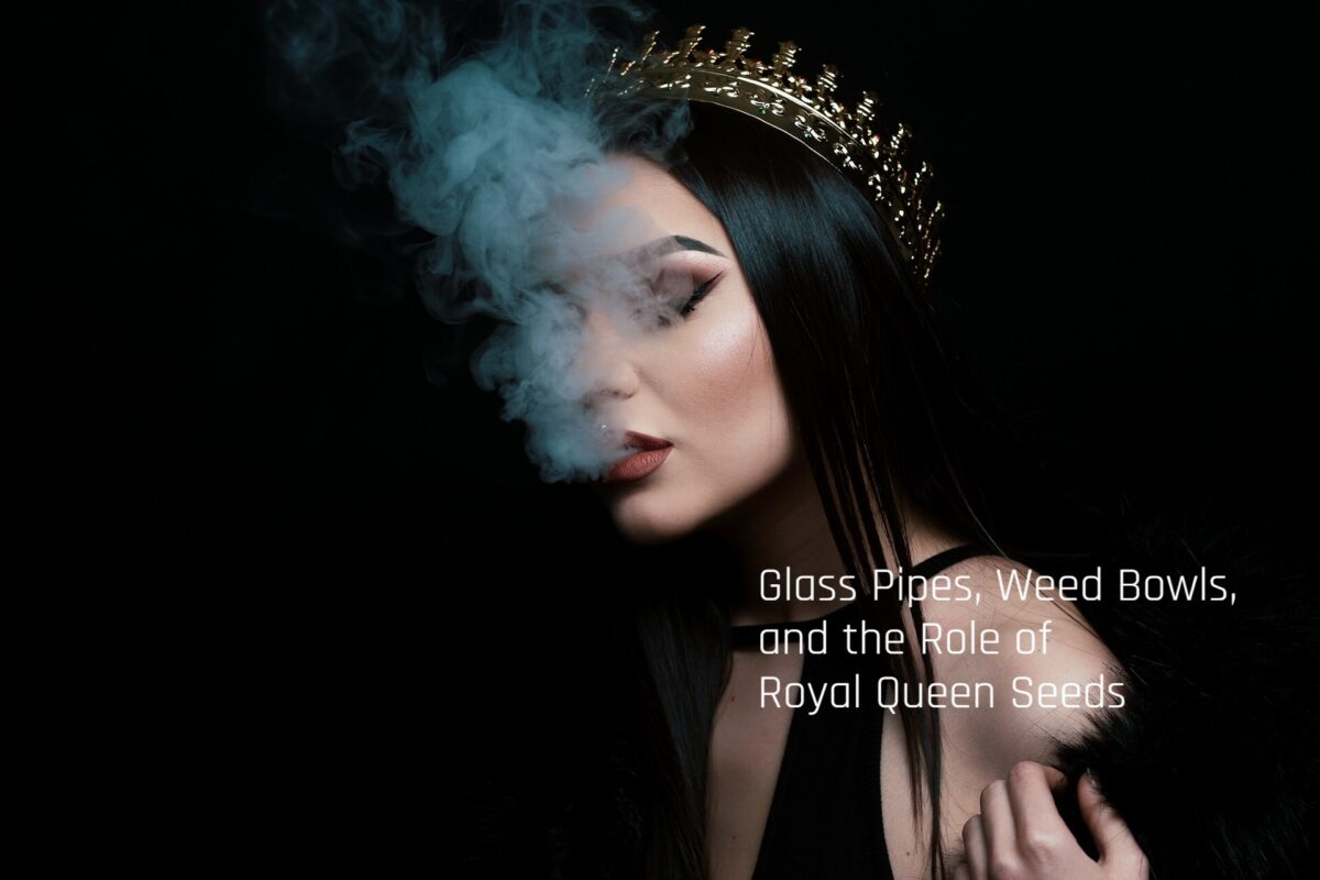Glass Pipes, Weed Bowls, and the Role of Royal Queen Seeds