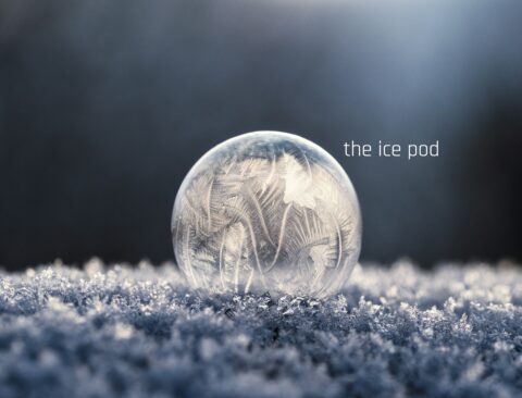 the ice pod