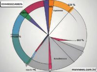 0.00040931483 as a percent