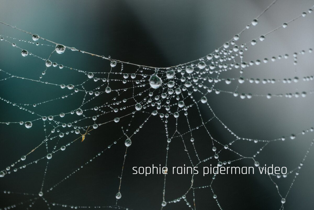 sophie rain spiderman video