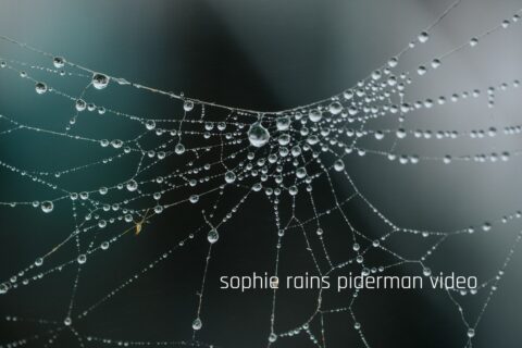 sophie rain spiderman video